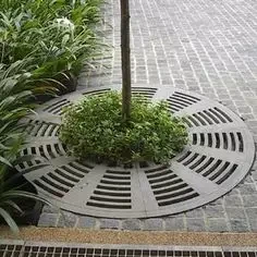 Cast Iron Tree Grate
