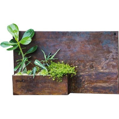 Factory Customize Modern Planter